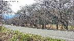 takano5-20250422142113.jpg