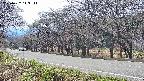 takano5-20250422143112.jpg