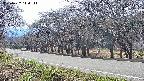 takano5-20250422144112.jpg