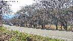 takano5-20250422145119.jpg