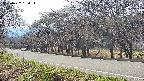 takano5-20250422150118.jpg