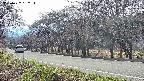 takano5-20250422152115.jpg