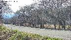 takano5-20250422153117.jpg
