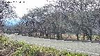 takano5-20250422154118.jpg