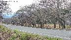 takano5-20250422165113.jpg