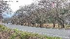 takano5-20250422171113.jpg