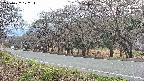 takano5-20250422172113.jpg