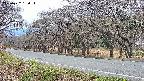 takano5-20250422180117.jpg