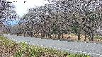 takano5-20250422181112.jpg
