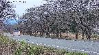 takano5-20250422182113.jpg