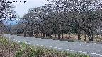 takano5-20250422183111.jpg