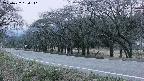 takano5-20250422184111.jpg