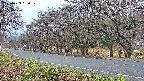 takano5-20250423050109.jpg