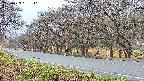 takano5-20250423051111.jpg
