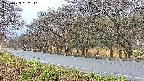 takano5-20250423052110.jpg