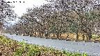 takano5-20250423053112.jpg