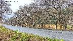 takano5-20250423054110.jpg