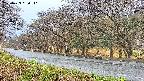 takano5-20250423060110.jpg
