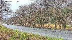 takano5-20250423061111.jpg