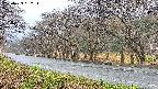 takano5-20250423062112.jpg