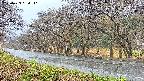 takano5-20250423064110.jpg