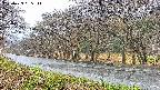 takano5-20250423065111.jpg