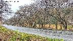 takano5-20250423080113.jpg