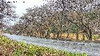 takano5-20250423081112.jpg