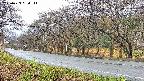 takano5-20250423084113.jpg