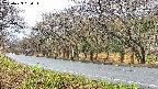 takano5-20250423090114.jpg