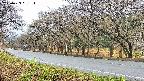 takano5-20250423091114.jpg