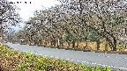 takano5-20250423093115.jpg