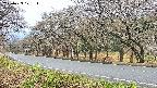 takano5-20250423101110.jpg