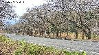 takano5-20250423104110.jpg