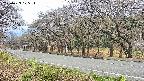 takano5-20250423105114.jpg