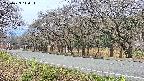 takano5-20250423110113.jpg