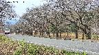 takano5-20250423111114.jpg