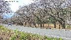 takano5-20250423112114.jpg