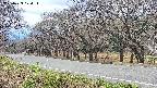 takano5-20250423124115.jpg