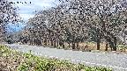 takano5-20250423125114.jpg