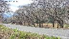 takano5-20250423130114.jpg