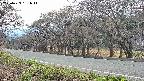 takano5-20250423161638.jpg