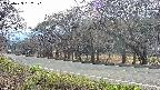 takano5-20250423162114.jpg