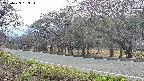 takano5-20250423163112.jpg