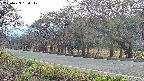 takano5-20250423164111.jpg