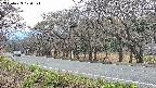 takano5-20250423170114.jpg