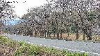 takano5-20250423171114.jpg