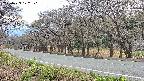 takano5-20250423172114.jpg