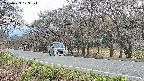 takano5-20250423173115.jpg