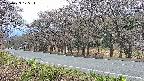 takano5-20250423175113.jpg
